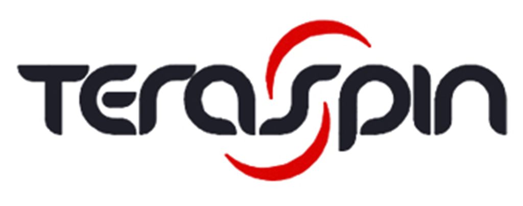 Teraspin